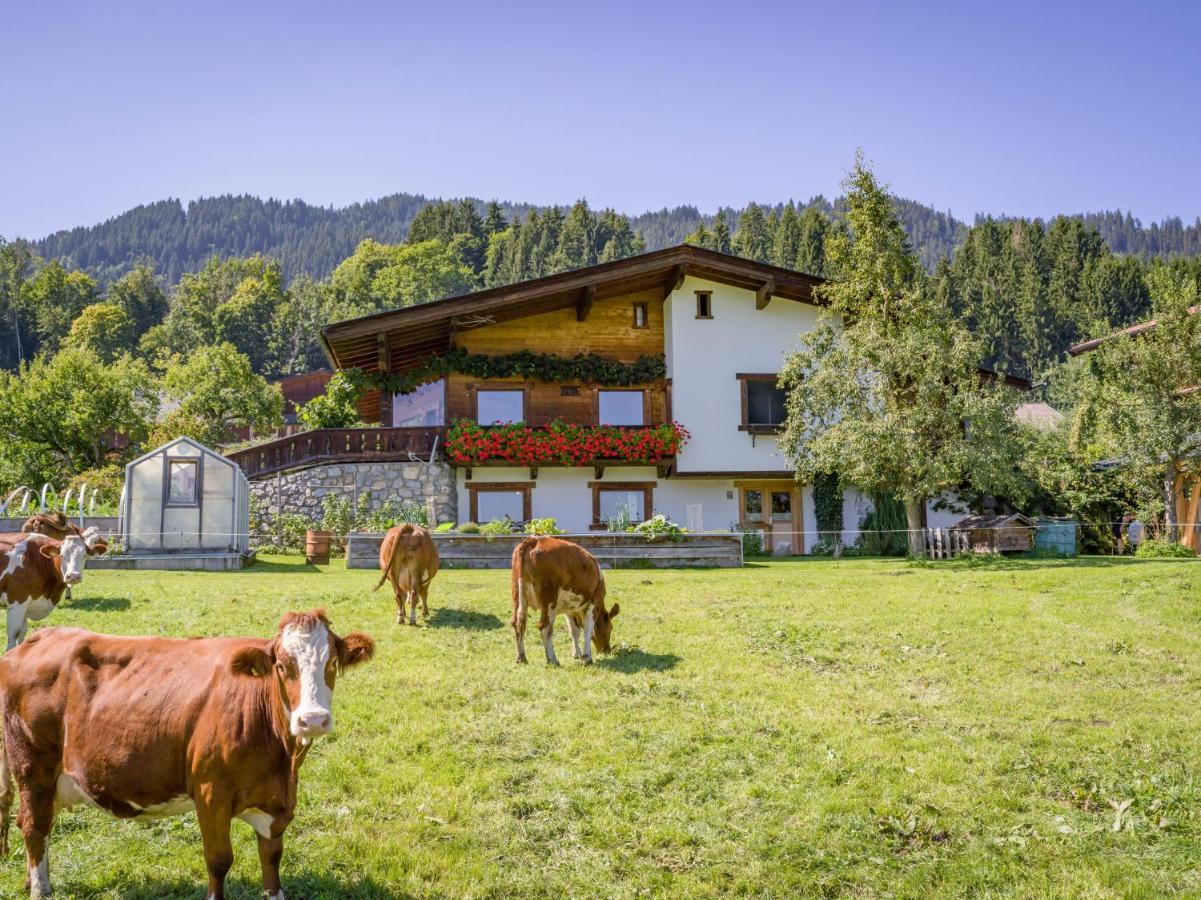 Appartement Salvenblick Hopfgarten im Brixental Exterior photo